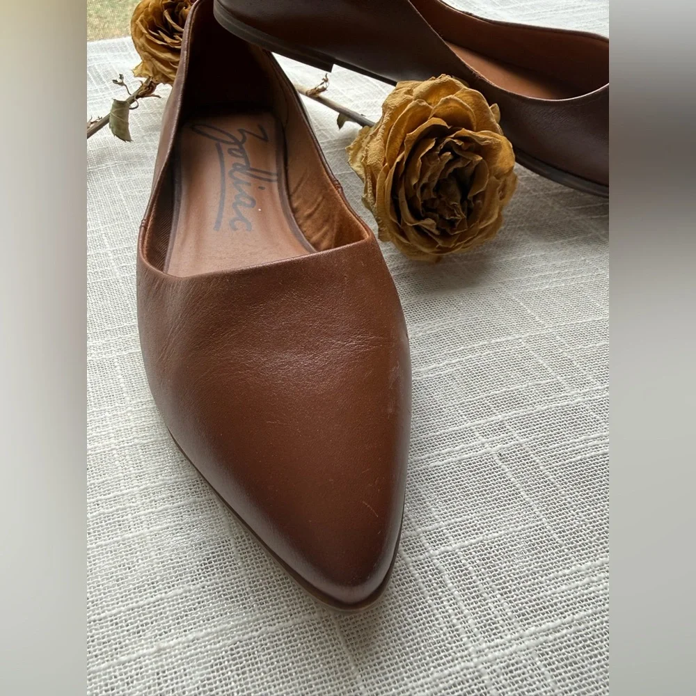 Zodiac Hill Snake Embossed Pointed Toe Flat